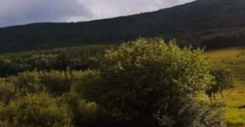 當年我考上大學後，爺爺和姑姑拒絕借錢，三姨和鄰居卻把錢送上門