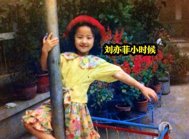 網友自曝曾霸凌劉亦菲,天仙也曾表示,自己曾遭到很多人的排擠