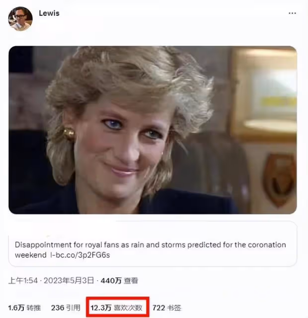 查爾斯加冕禮出現神奇黑衣人背影,網友懷念黛安娜,諷刺死神來了