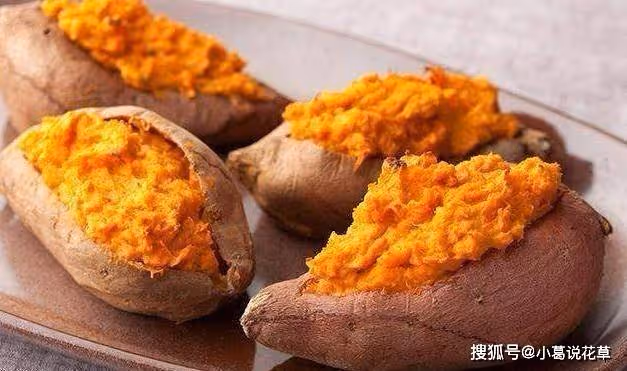 奶酪焗紅薯家常美味,一個電飯煲搞定,雞蛋紫薯卷,營養又好吃~