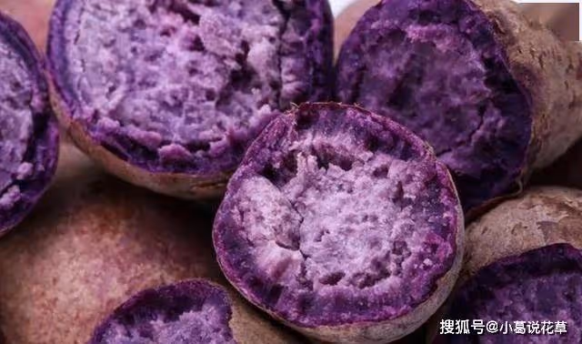 奶酪焗紅薯家常美味,一個電飯煲搞定,雞蛋紫薯卷,營養又好吃~