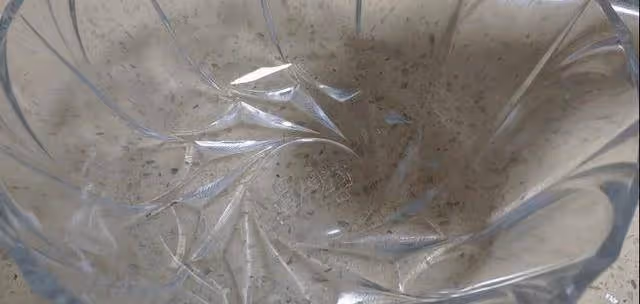 不用開酥不用烤箱,電餅鐺就能做的軟皮綠豆餅,軟糯清甜餡料十足~