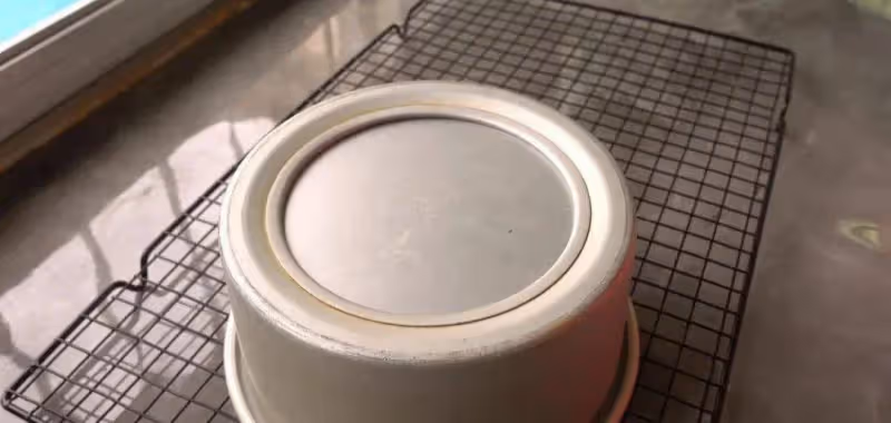 鬆軟的豆面蛋糕製作教程,表面一層香濃的豆粉,口感特別棒~