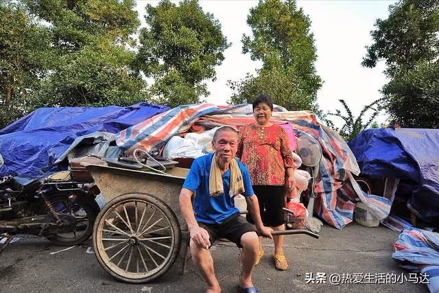 接父母到城裡2個月,看到妻子跑了,滿屋廢品,才知道孝順太難了