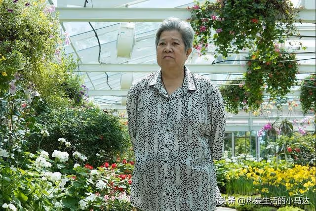 我75歲,獨自住了一次院後,讓我發現不依靠兒女的晚年生活有多爽