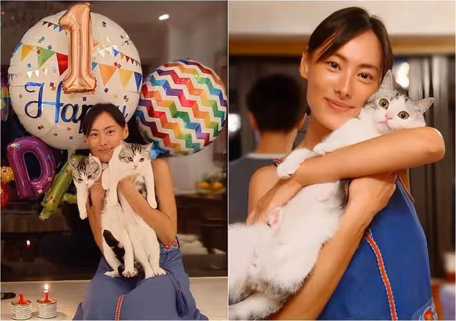 李澤楷公司上市在即,無心留戀兒女情長!梁洛施將成為大贏家!