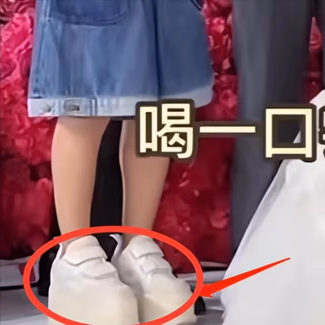 「夫妻本是同林鳥」,但抱歉,王寧這一次救不了「金龜子」劉純燕