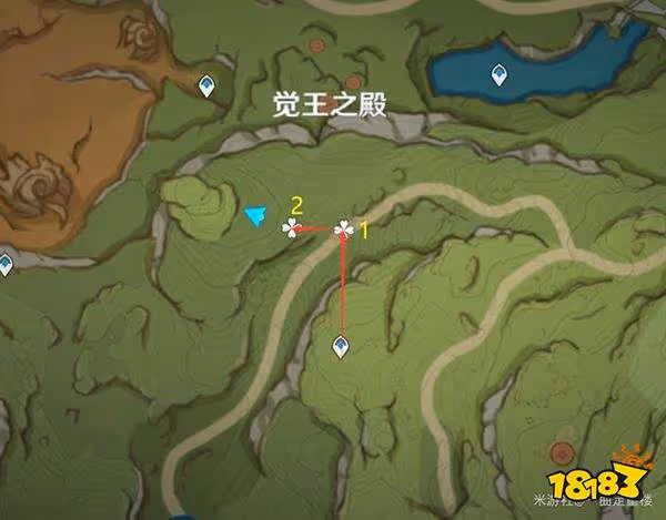 原神帕蒂沙蘭材料採集圖文路線 帕蒂沙蘭突破材料位置圖