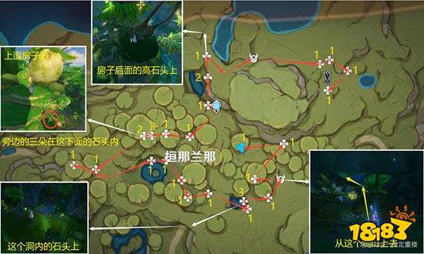 原神帕蒂沙蘭材料採集圖文路線 帕蒂沙蘭突破材料位置圖