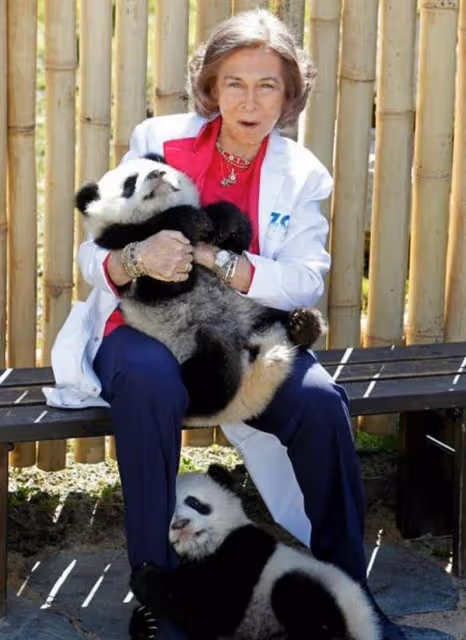 85歲索菲亞王后太有氣質了！襯衫搭西裝套裝，精神幹練貴氣十足