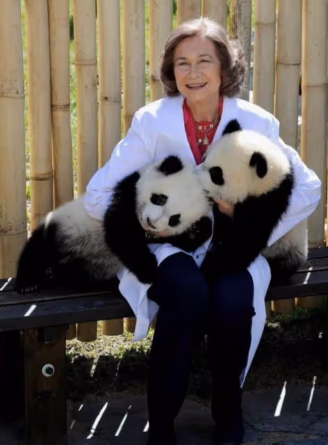 85歲索菲亞王后太有氣質了！襯衫搭西裝套裝，精神幹練貴氣十足