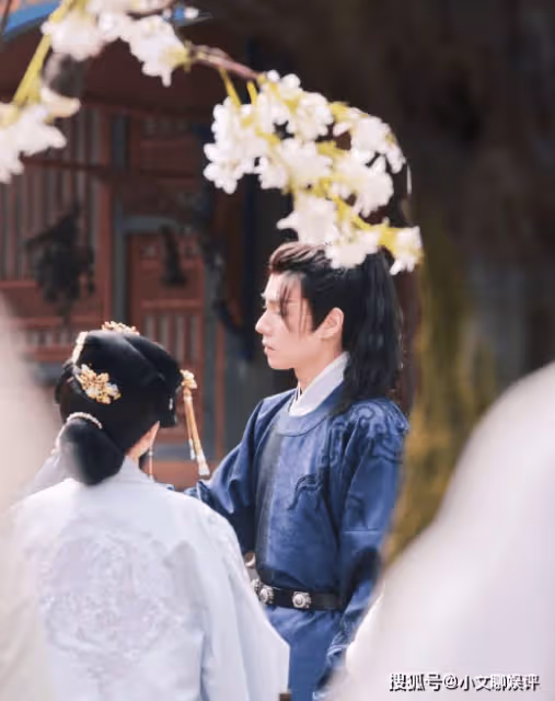 《惜花芷》原著小說內容是什麼？《惜花芷》故事劇情梗概