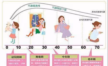 為什麼中年後容易胖且身材走樣,想要保持緊緻纖細身材需要怎麼做