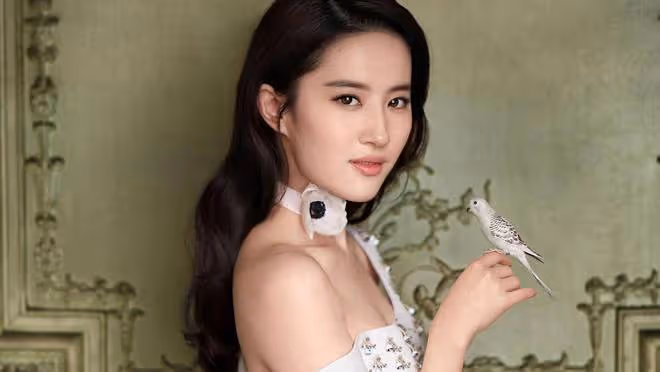 劉亦菲曾被韓國女生欺負的事登上熱搜,網友:美國人被打關我啥事
