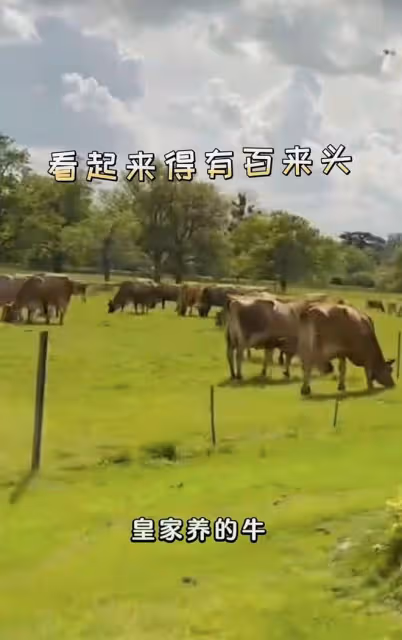 郎朗揭秘參加英王加冕禮細節!與威廉王子摟腰,曾令國王感動含淚