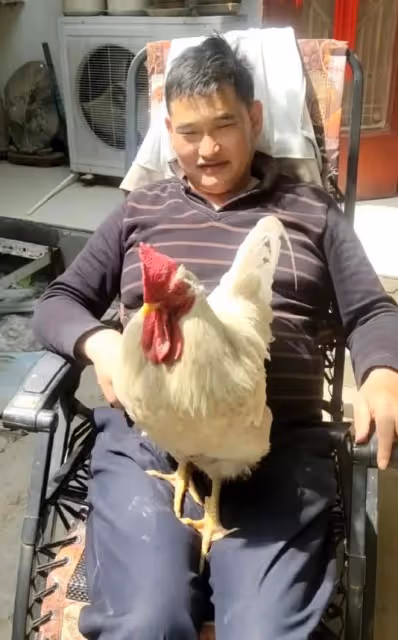 大衣哥首次坐飛機，低頭不敢和人交流，空姐提醒袋子不能裝有活物