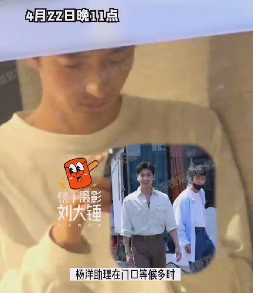 楊洋王楚然戀情疑曝光，酒店共度四天三晚，助理親自接王楚然上樓