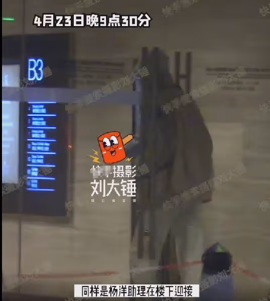 楊洋王楚然戀情疑曝光，酒店共度四天三晚，助理親自接王楚然上樓