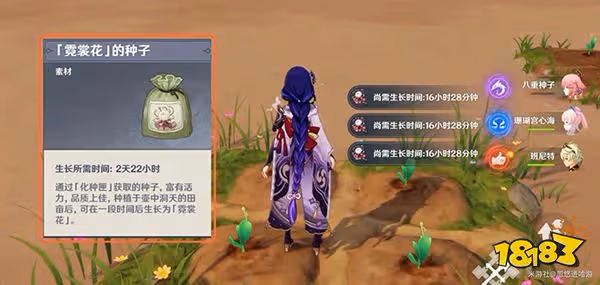 原神霓裳花在哪採集 霓裳花採集位置匯總