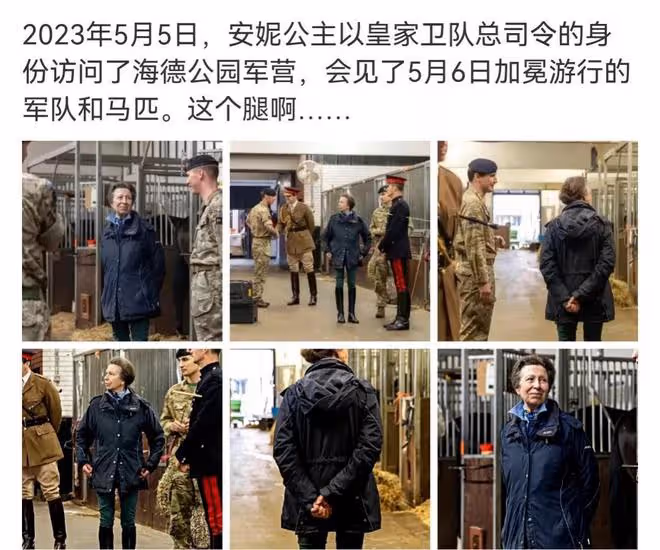 安妮公主騎馬護衛哥哥查爾斯加冕,漠視卡米拉搶風頭,撐威廉哈里