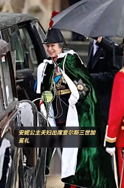 安妮公主騎馬護衛哥哥查爾斯加冕,漠視卡米拉搶風頭,撐威廉哈里