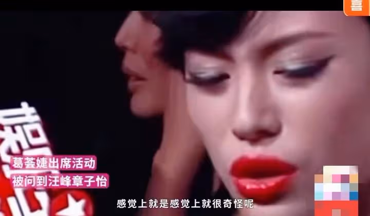 葛薈婕:汪峰章子怡看上去很不搭配,網友:你確實不如章子怡!