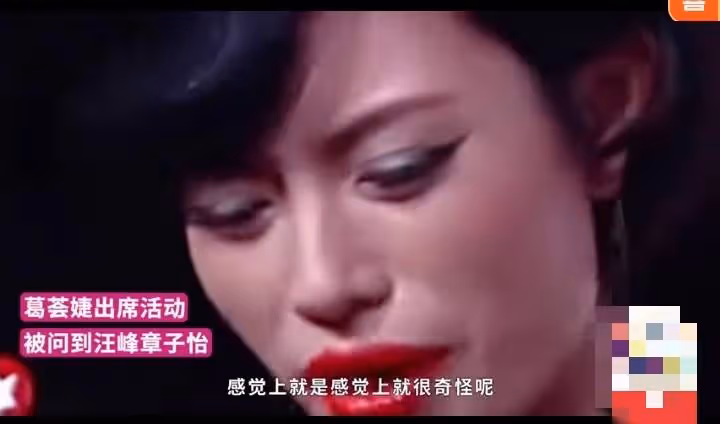 葛薈婕:汪峰章子怡看上去很不搭配,網友:你確實不如章子怡!