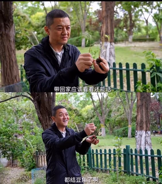 李亞鵬:請收手吧
