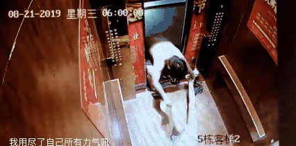 被毆打、侵犯、虐待，這些被家暴女人的遭遇，比恐怖片還毛骨悚然