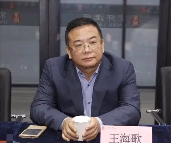 華鼎造夢人王海歌將卸任,曾多次進行品牌重塑,成就華鼎國際地位
