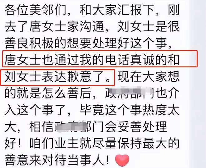 事件升級!「霸女」唐沙沙道歉,業主拆墩子遭網暴,車位成打卡地