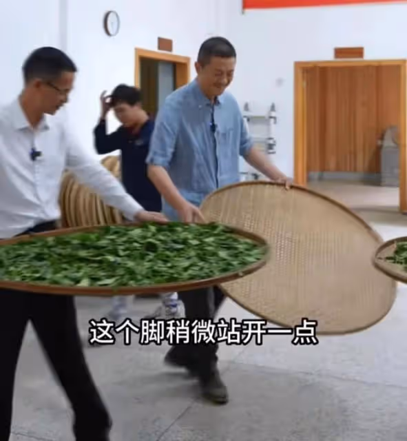 李亞鵬參觀武夷山大紅包樹被人鄙視,當地茶農:不懂就不要瞎介紹