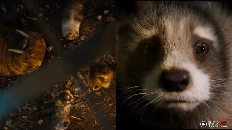 影評|《Guardians of Galaxy 3》完美收官!「火箭浣熊」悲慘過往令人淚目