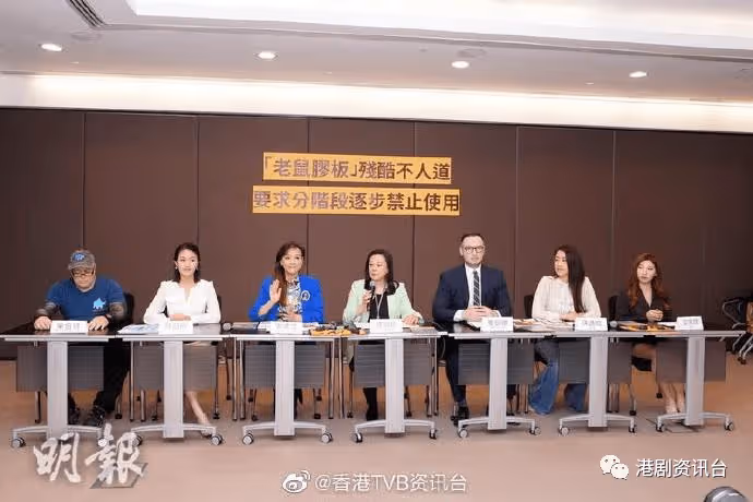 陳庭欣贊《東張》主持拍鼠患問題夠勇!聞「富貴港姐」梁家琪擲2千萬買樓:甘拜下風
