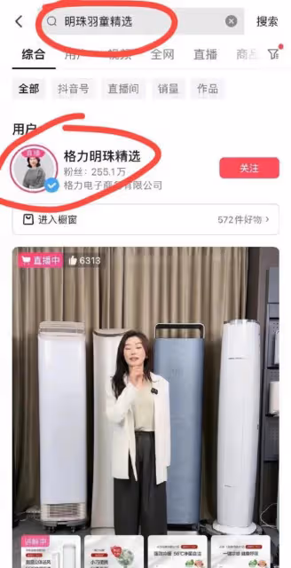 孟羽童回應離職,被譽為「董明珠接班人」的她,網絡評價兩極分化