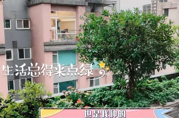 阿雅首次曝光豪宅!內陽臺都種樹,家裡干凈得像五星級酒店,網友:感覺一點也不突兀。