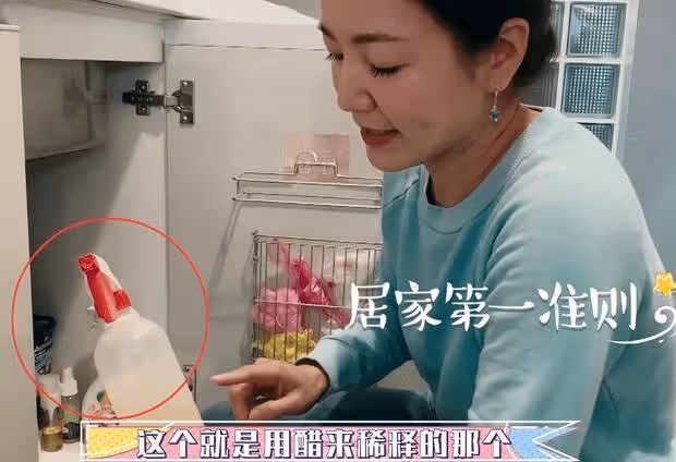 阿雅首次曝光豪宅!內陽臺都種樹,家裡干凈得像五星級酒店,網友:感覺一點也不突兀。