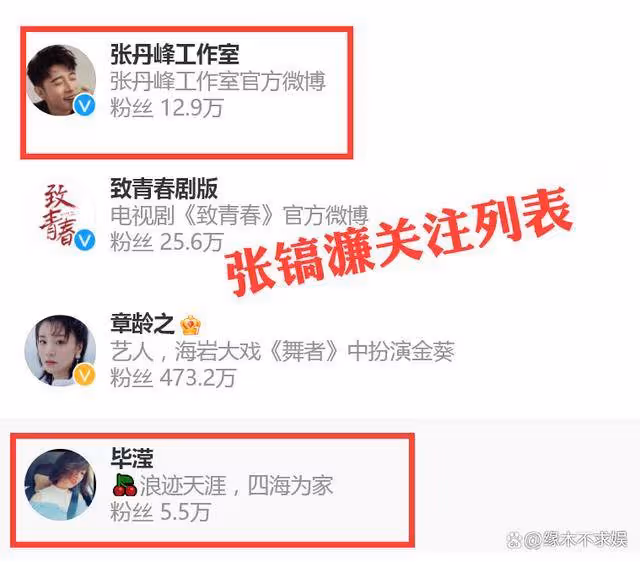 洪欣否認離婚敗光好感,這場「三人鬧劇」,她最對不起的是畢瀅!