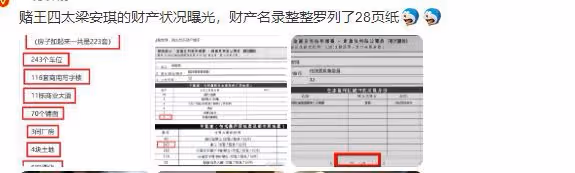 梁安琪名下財產曝光,223套房產116套寫字樓,香港富豪榜位列第32