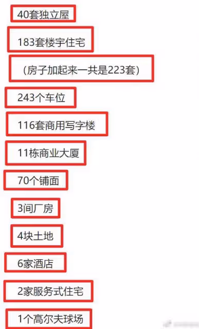 梁安琪名下財產曝光,223套房產116套寫字樓,香港富豪榜位列第32