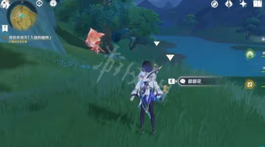 《原神》納西妲傳說任務第二章怎麼完成?納西妲傳說任務第二章流程