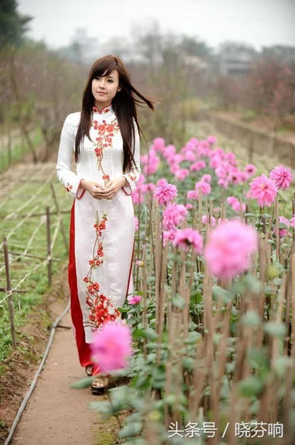 越南妹 為什麼多國男人都想娶越南妹？原來除了身材好竟然還有