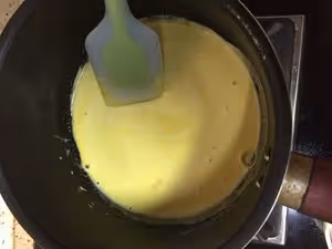 比哈根達斯還好吃的冰激凌（蛋黃是熟的，可以放心吃）