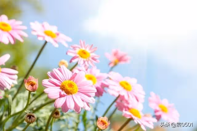 父親的生日宴上她打了侄子,父親讓她滾,弟媳卻說打得好