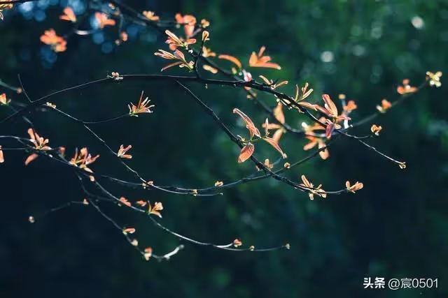 父親的生日宴上她打了侄子,父親讓她滾,弟媳卻說打得好