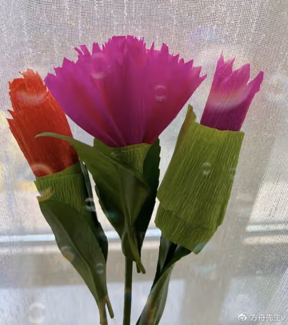 張傑母親節送謝娜鋼琴,跳跳俏俏cos艾莎安娜,2歲小咘芽像小哪吒