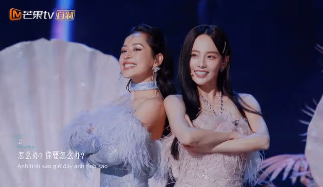 《吻別》贏了《花海》引爭議,《佳人》組被淘汰,原因很現實!