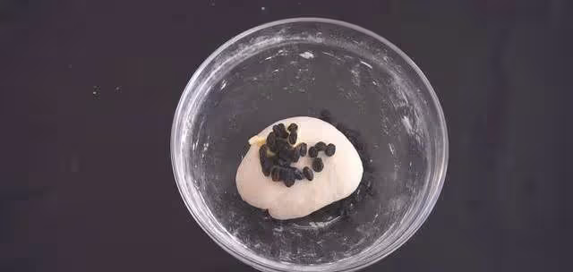葡萄乾別嚼著吃,做成鬆軟的小麵包,營養又健康,自己動手做起來~