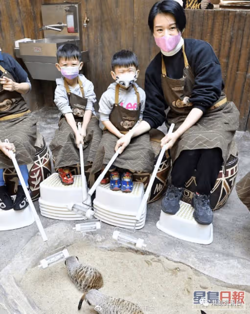 胡杏兒自爆做人妻非自己追求的人生!為老公與奶奶再追女因一理由有所顧慮