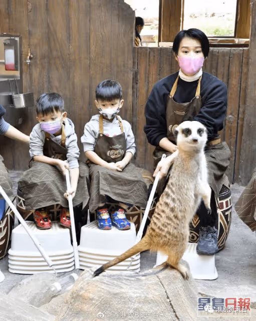 胡杏兒自爆做人妻非自己追求的人生!為老公與奶奶再追女因一理由有所顧慮